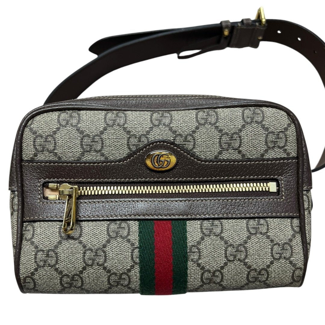 GUCCI Belt Bag detail