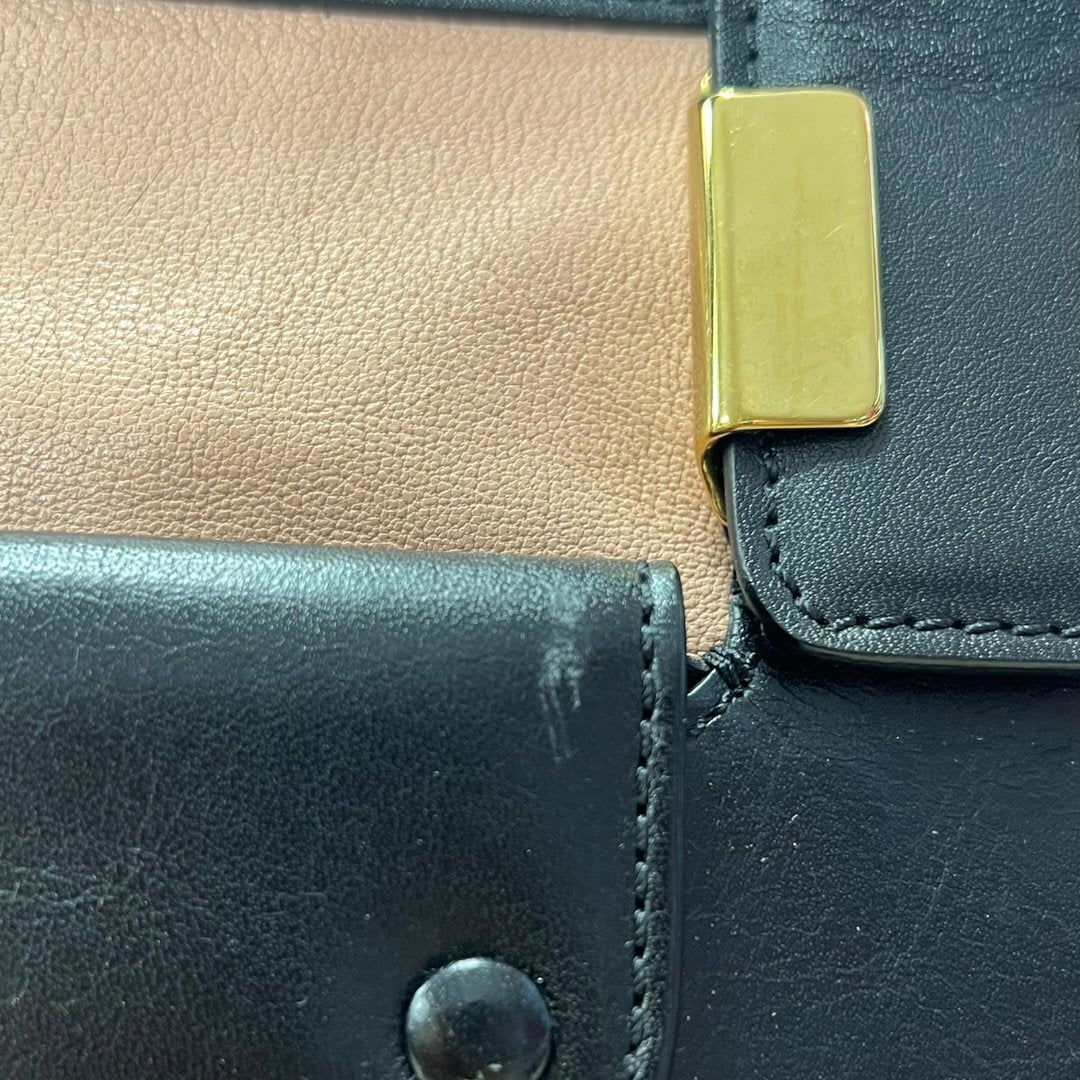 CHLOÉ Calfskin Baylee Handbag Black and Blush Pink Gold Hardware | Authentic Pre-Owned Luxury
